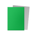 Standard Dual Sleeves: Apple Green & Silver [Matte] (100 Sleeves)